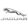 Jaguar (0)