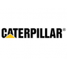 Catterpillar (16)