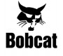 Bobcat