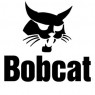 Bobcat (13)