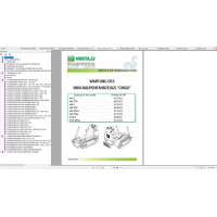 Merlo CINGO SERIE 2 (ab 2007) Service Manual, Hydraulic & Electrical Diagram